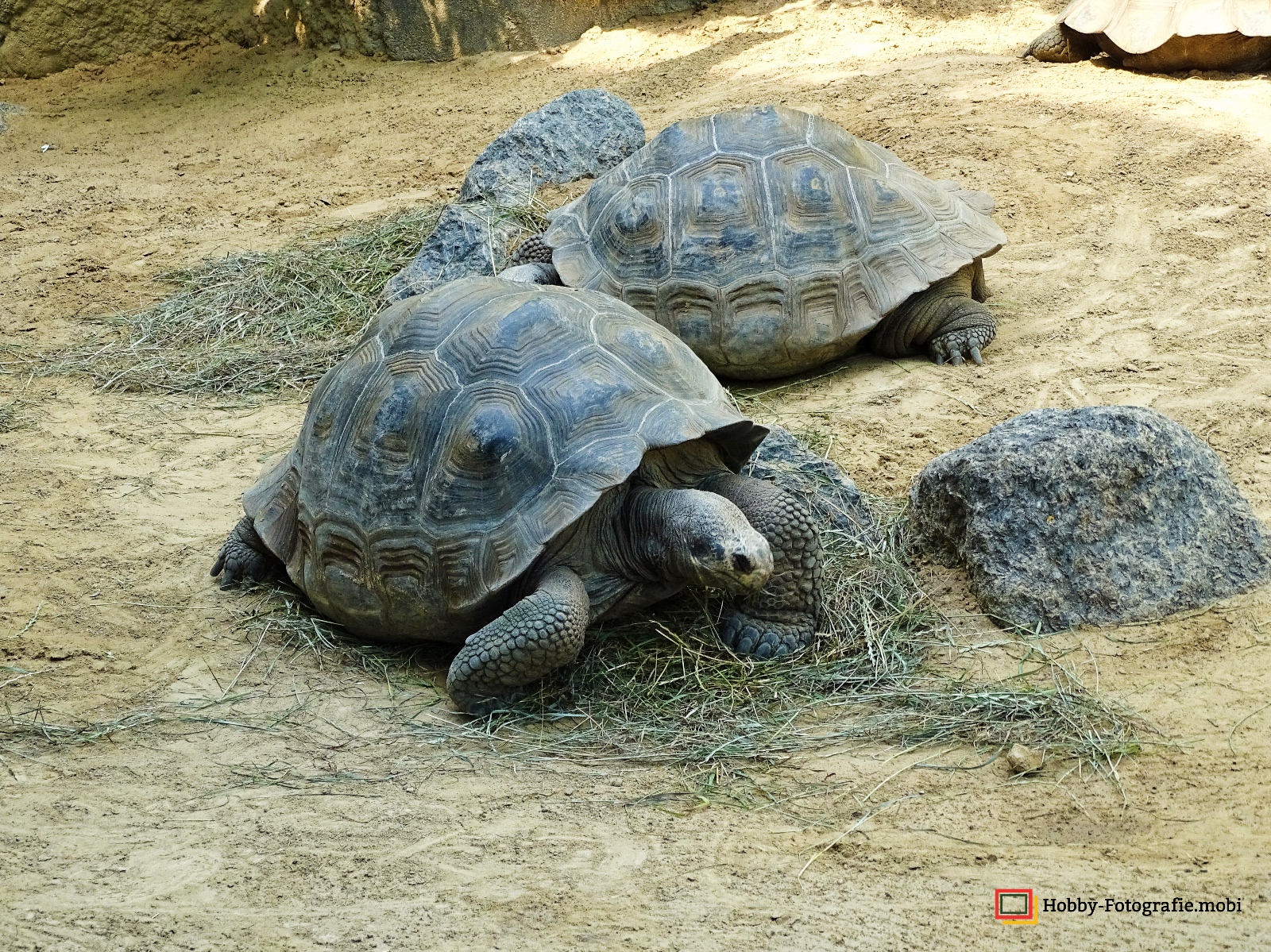 Zoo Rostock