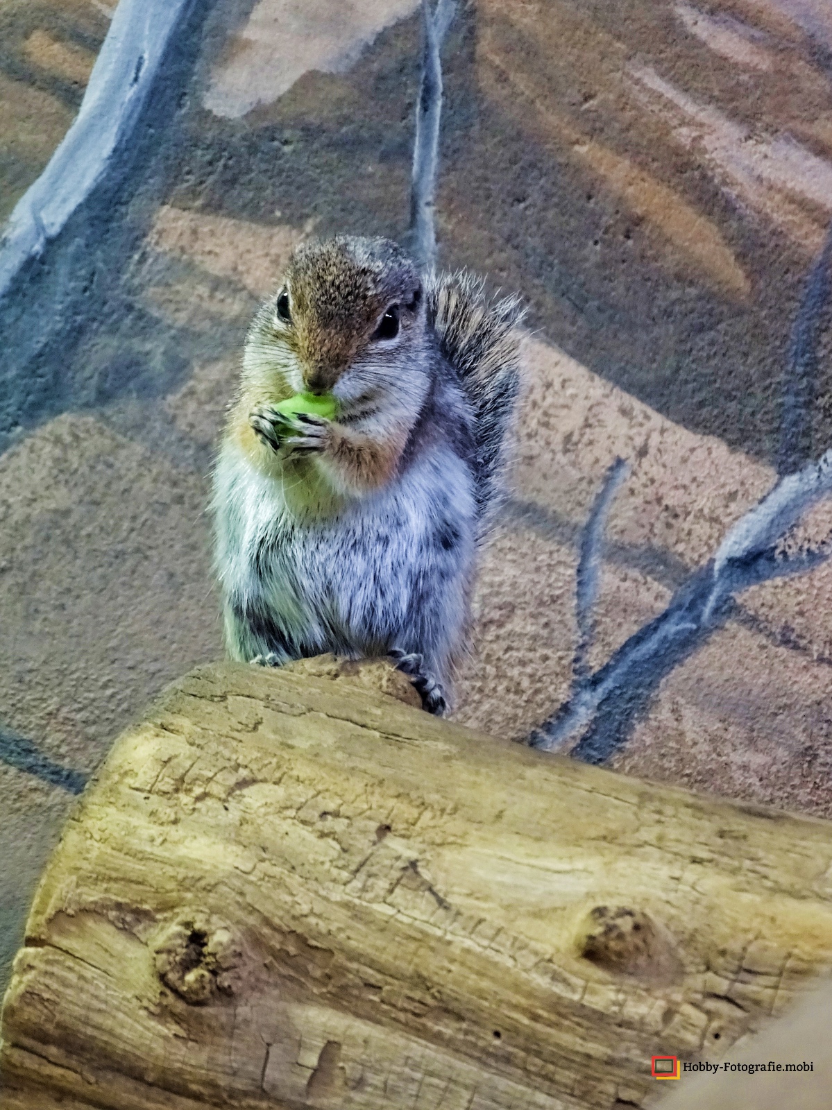 Zoo Rostock