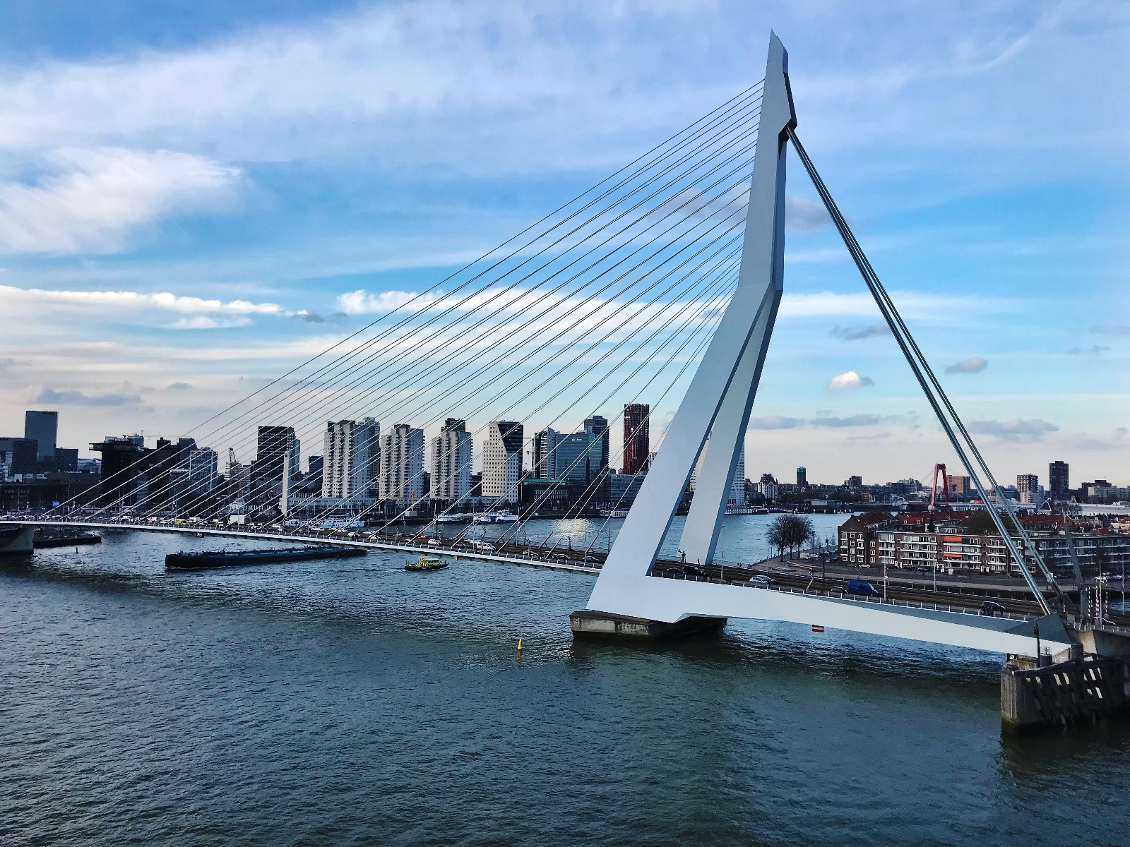 Erasmus Brücke Rotterdam